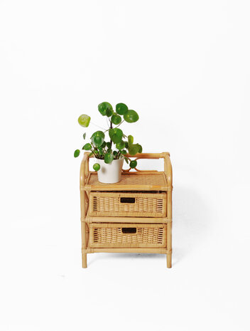 VERKOCHT Vintage rotan kastje