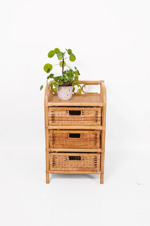 VERKOCHT Vintage rotan kastje