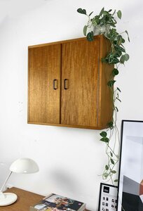 NIEUW . Vintage Simpla Lux hangkastje